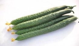 新疆大学新瓜最新爆料,揭秘校园风云背后的真相