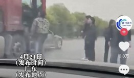 新塘新闻爆料事件视频,视频揭露惊人真相