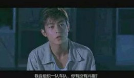 大哥爆料雅芳视频在线观看,雅芳视频在线观看，带你一探究竟
