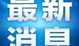 山东滕州今日爆料,揭秘今日热点事件背后的真相