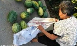 宁陵吃瓜最新事件爆料,揭秘背后惊人真相