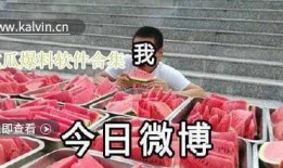 吃瓜爆料全部视频,揭秘视频背后的惊人真相