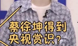 蔡徐坤经纪公司爆料视频,独家爆料视频背后的真相