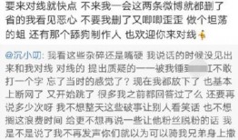 娱乐丑事爆料怎么写的啊,丑闻爆料背后的真相与反思