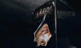 遗骸电影在线观看,揭秘生死边缘的惊悚之旅