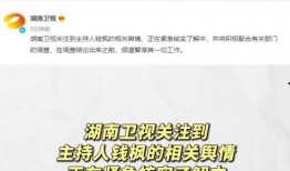 娱乐圈吃瓜帖子是什么,揭秘明星背后的故事