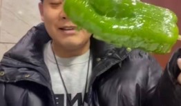 版纳网红吃瓜视频,揭秘热带风情下的美食诱惑