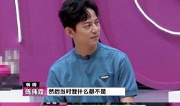 陈伟霆何炅爆料视频播放,娱乐圈幕后真相大揭秘