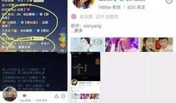 网黑八卦爆料视频最新版,揭秘娱乐圈惊人内幕！