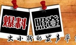 重庆新闻网爆料电话,揭秘热线背后的新闻故事