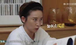 吴京打电话爆料发火视频,揭秘背后真相