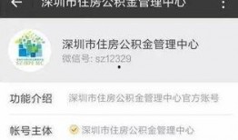 深圳靓仔最新爆料,揭秘娱乐圈幕后真相