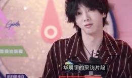 圈内爆料王悦伊是谁,王悦伊，娱乐圈的神秘新星