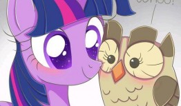 小马漫漫吃瓜视频下载免费,免费下载，畅享欢乐时光