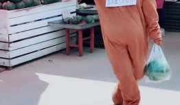 网红熊吃瓜,揭秘娱乐圈幕后真相