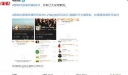 女保险员爆料视频大全集,女保险员爆料视频大全集深度解析