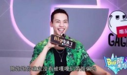 陈伟霆何炅爆料视频播放,娱乐圈幕后真相大揭秘