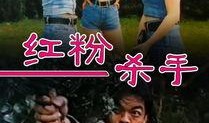 红粉计在线观看,一场跨越时空的浪漫邂逅