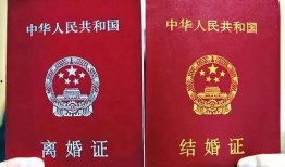 山西农村爆料视频最新,揭开乡村发展新篇章背后的故事