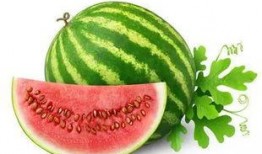 非洲网红吃瓜图片大全,趣味横生的美食文化大揭秘