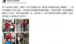 猫儿来爆料小视频,揭秘小视频背后的秘密
