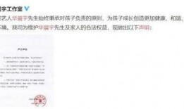 娱乐圈吃瓜帖子是什么,揭秘明星背后的故事