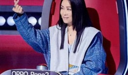 娱乐圈爆料那英事件,娱乐圈爆料事件深度解析