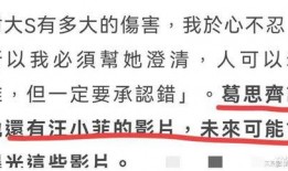 台湾狗仔爆料视频播放网站,热门内容与幕后故事