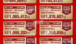 富力爆料最新消息,揭秘球队动态与未来规划