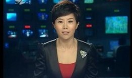 重庆新闻网爆料电话,揭秘热线背后的新闻故事