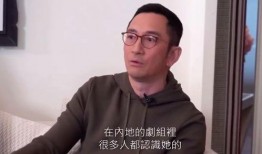 爆料明星带绿帽子视频,明星隐私泄露引发社会热议