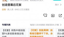 爆料大鹅解说视频网页,视频网页背后的精彩故事