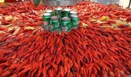 舌尖爆料龙虾视频大全图片,揭秘龙虾视频大全背后的美味故事