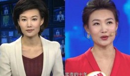 爆料新闻主播违法吗,揭秘娱乐圈潜规则与法律边界