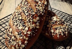 全麦面包爆料视频播放,爆款视频背后的真实播放数据大起底