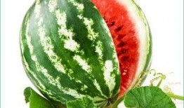 新疆大学新瓜最新爆料,揭秘校园风云背后的真相