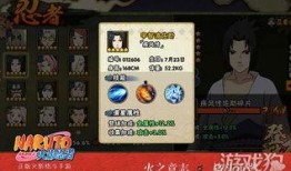 新忍者爆料最新下载,揭秘最新下载背后的秘密与亮点