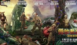 血战丛林全集在线观看