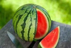 非洲网红吃瓜图片大全,趣味横生的美食文化大揭秘