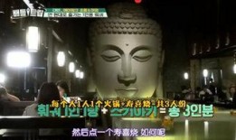 盛宴在线观看,一场视觉与味蕾的双重盛宴