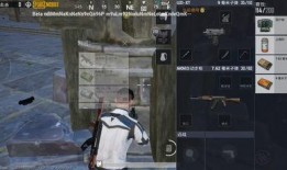 pubgm反厂最新爆料,揭秘游戏内神秘反厂机制