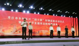 山东滕州今日爆料,揭秘今日热点事件背后的真相