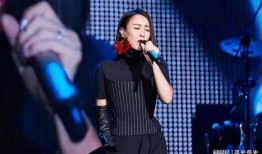 娱乐圈爆料那英事件,娱乐圈爆料事件深度解析