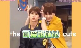 爆料东北小宝贝视频大全