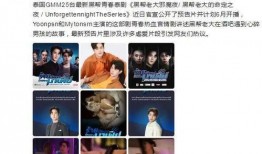 泰娱追星爆料事件视频,揭秘明星幕后真相