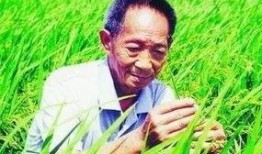 袁隆平理发店爆料视频,一段爆笑的乡村理发师传奇