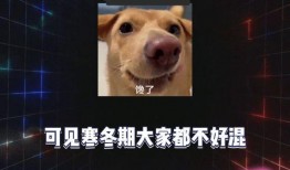 娱乐八卦消息吃瓜了,明星幕后故事大曝光！