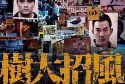 树大招风电影在线观看,揭秘黑帮风云背后的惊心动魄