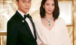 娱乐圈爆料语气大全最新,揭秘明星背后的惊人真相！