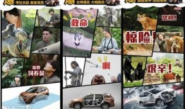 今日爆料君,揭秘娱乐圈最新热点事件